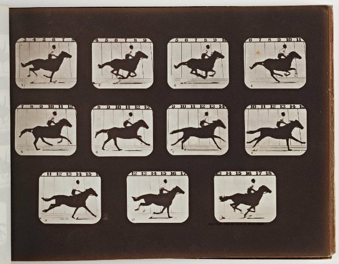 Eadweard_Muybridge-Sallie_Gardner